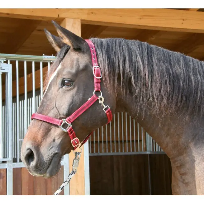 Kerbl Rouge Full Halter 2 Settings Mustang