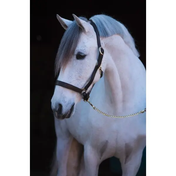 Kerbl Marron Full Leather Halter Eco