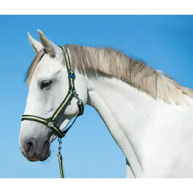 Kerbl Gris Full Nylon Halter Hippo