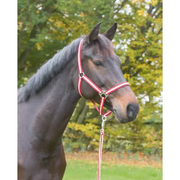 Kerbl Rouge Full Nylon Halter Hippo