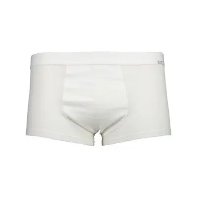 Boxer CMP