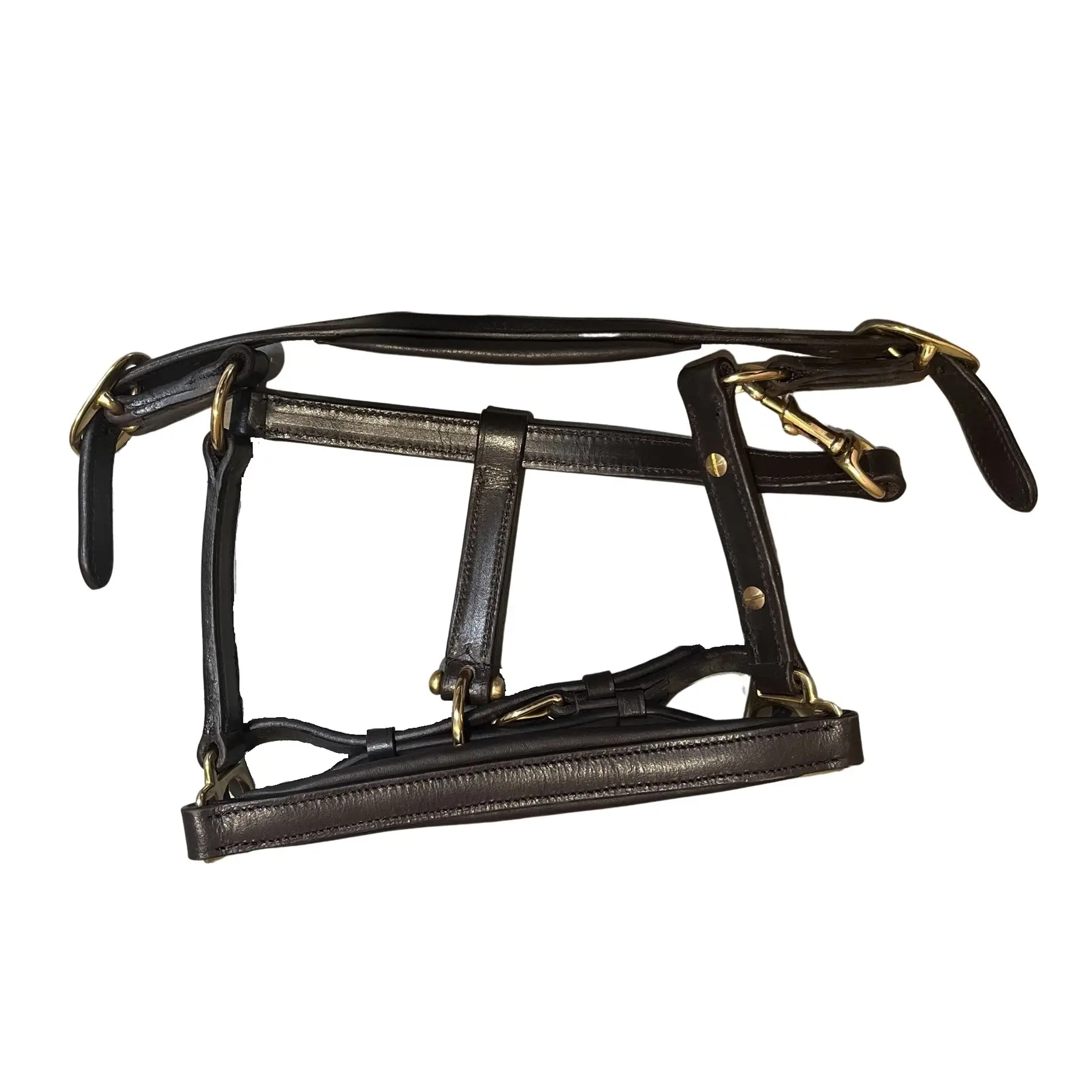 Premiere Marron Leather Halter For Horses Equitation