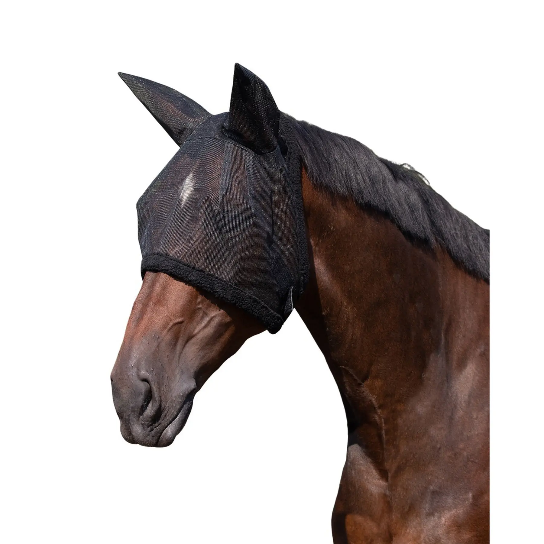 Comparer les prix de Masque anti-mouches pour cheval Q-essentials Fly