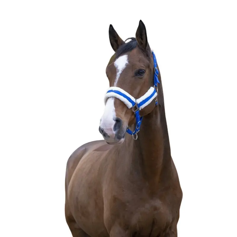Norton Bleu Halter For Horse Confort