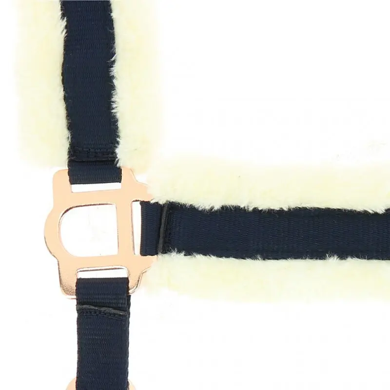Norton Bleu Halter For Horse Confort