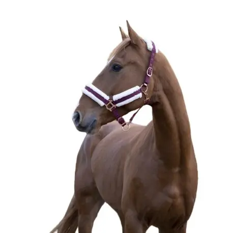 Norton Rouge Confort Horse Halter