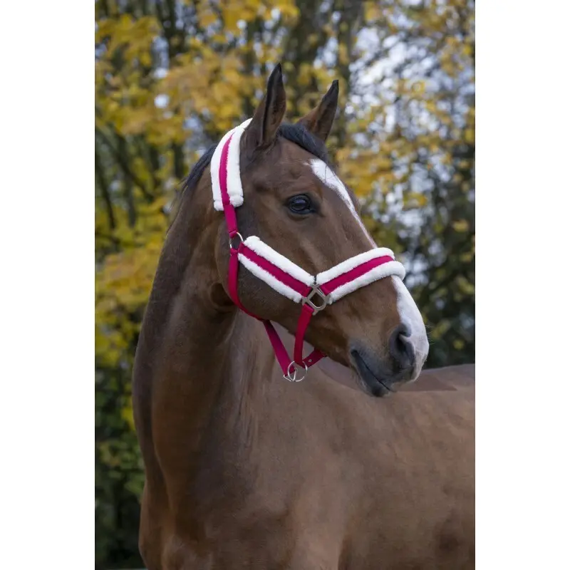 Norton Rose Halter For Horse Confort