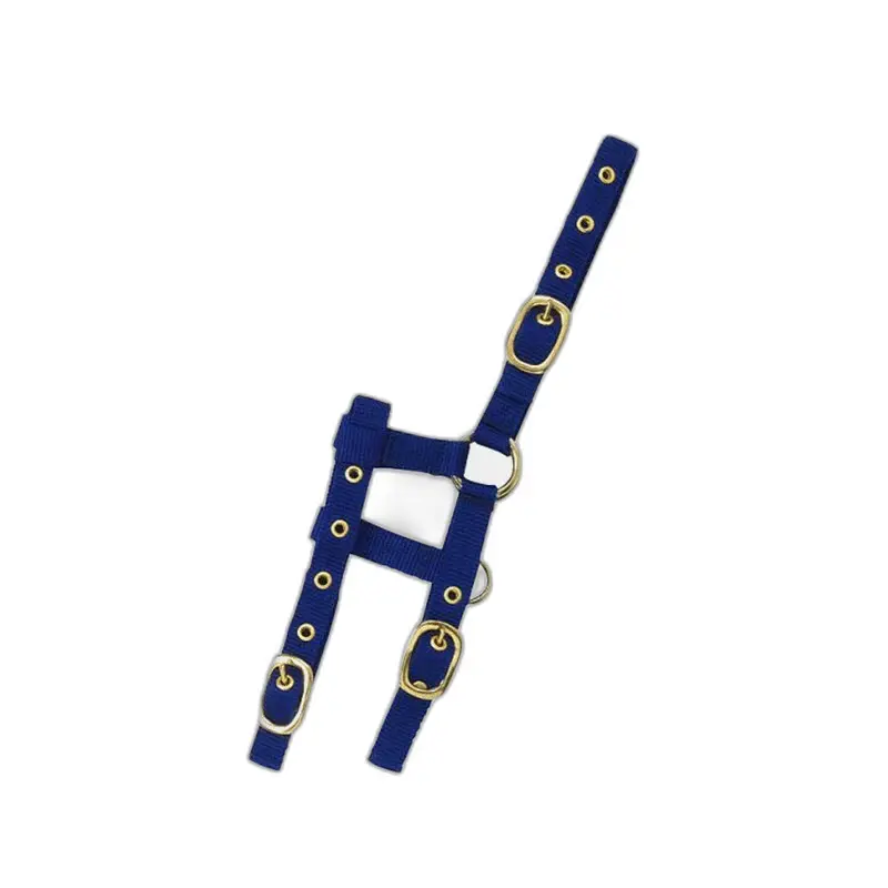 Meilleurs prix pour Licol pour cheval Norton Mini