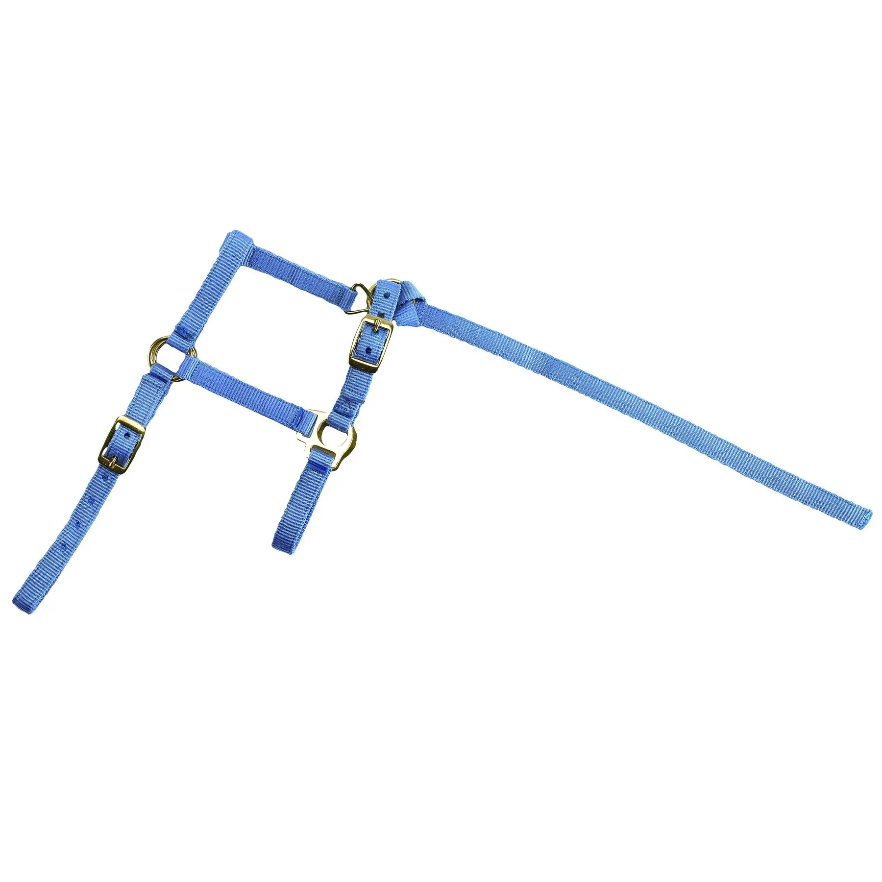 Norton Bleu Halter For Foal And Lead Rope