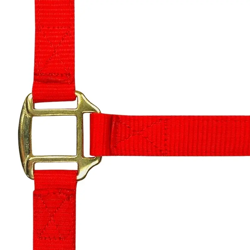 Norton Rouge Halter For Horse Double Leather