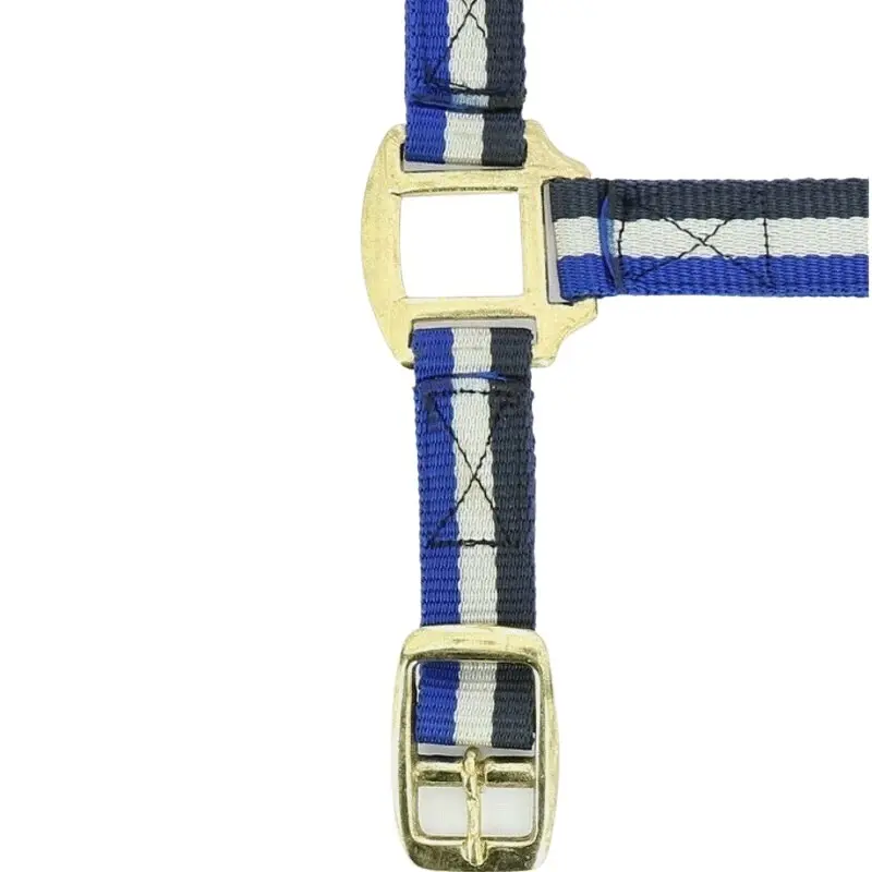 Norton Bleu Halter For Horse Doublé Cuir