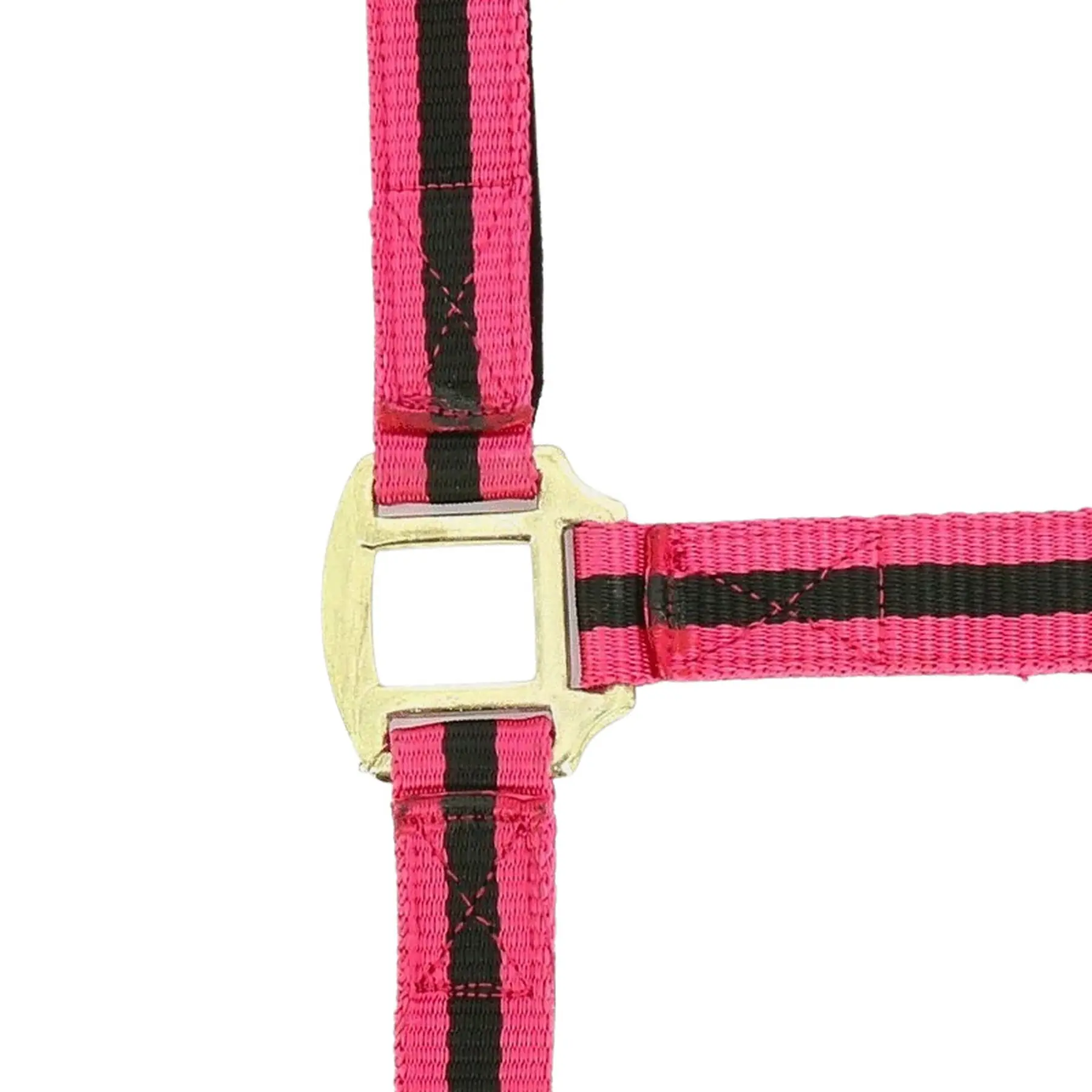 Norton Bleu Halter Doublé Cuir
