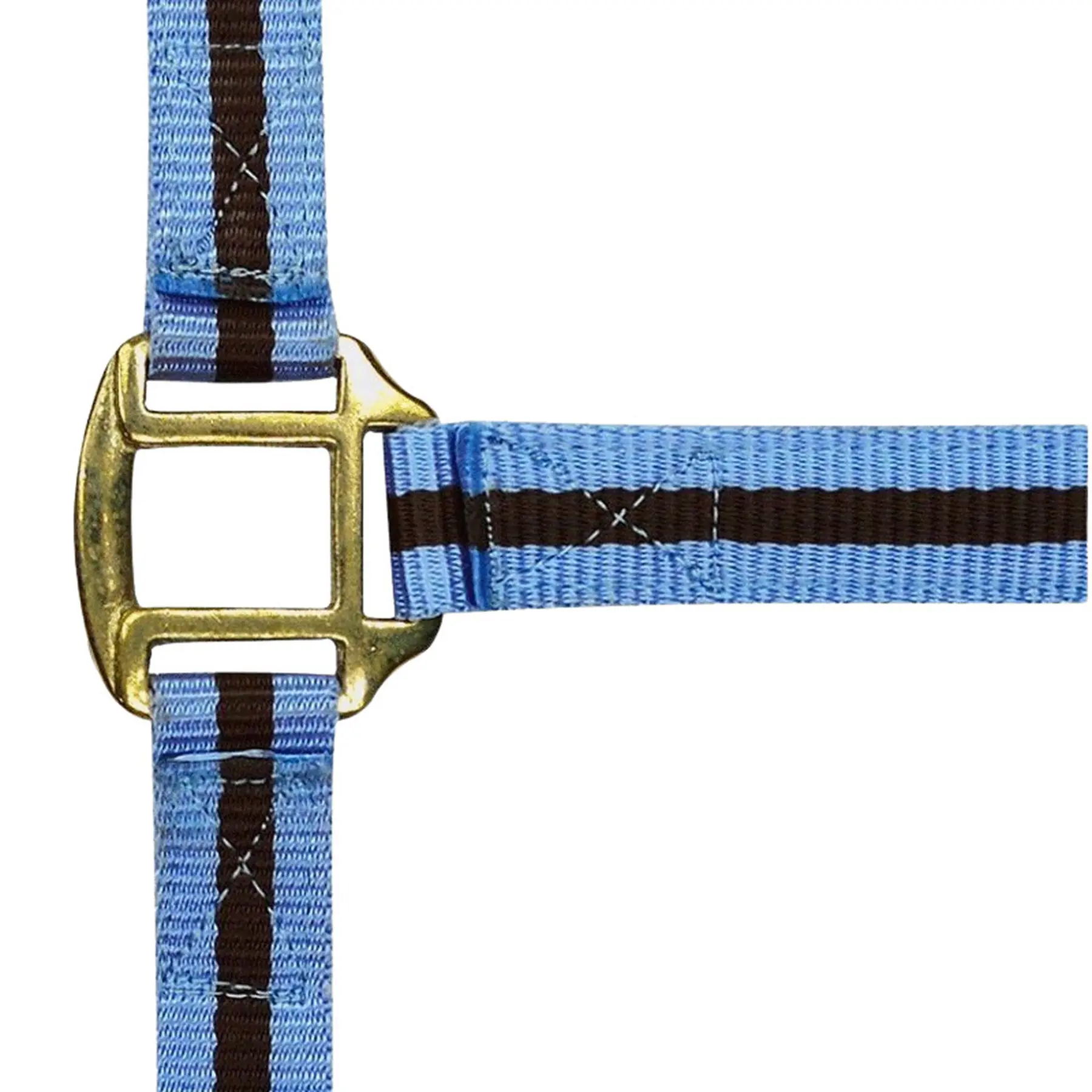 Norton Bleu Halter Doublé Cuir