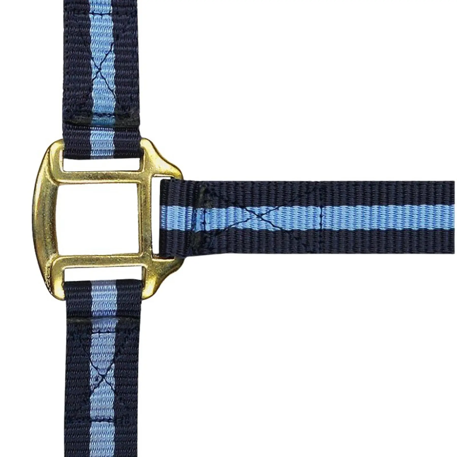 Norton Bleu Halter Doublé Cuir
