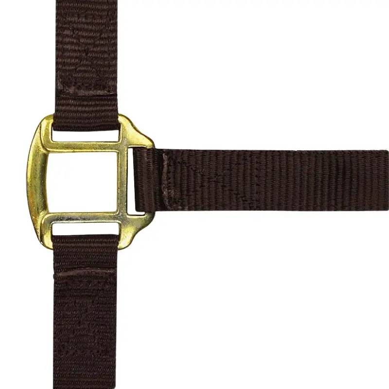 Norton Marron Halter For Horse Double Leather