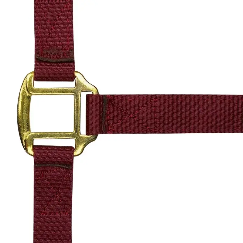Norton Rouge Halter For Horse Double Leather