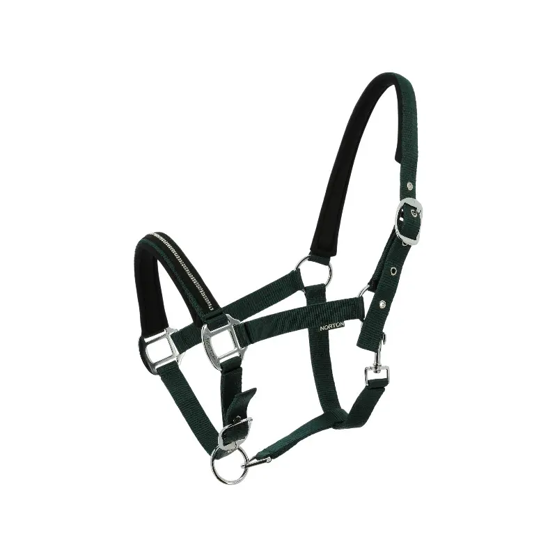 Licol pour cheval Norton Crystal