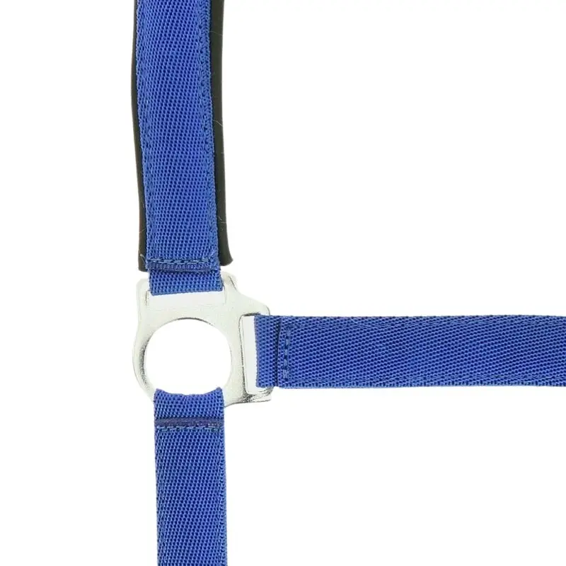 Licol Norton Doublé néoprène