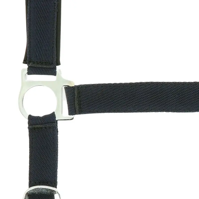 Halfter Norton Doublé néoprène