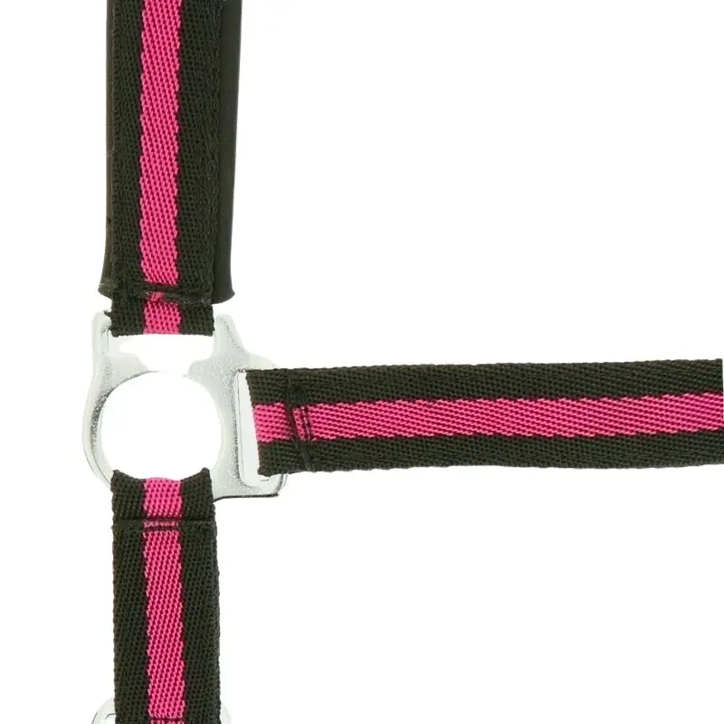 Halfter Norton Doublé néoprène