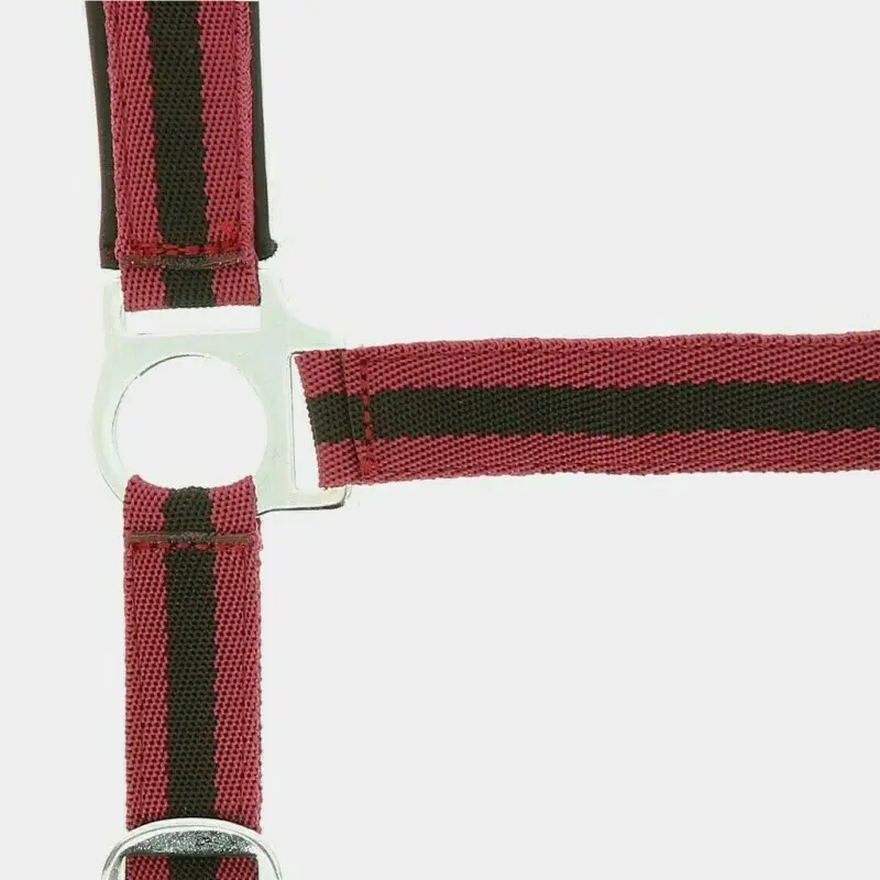 Norton Rouge Halter Doublé Néoprène