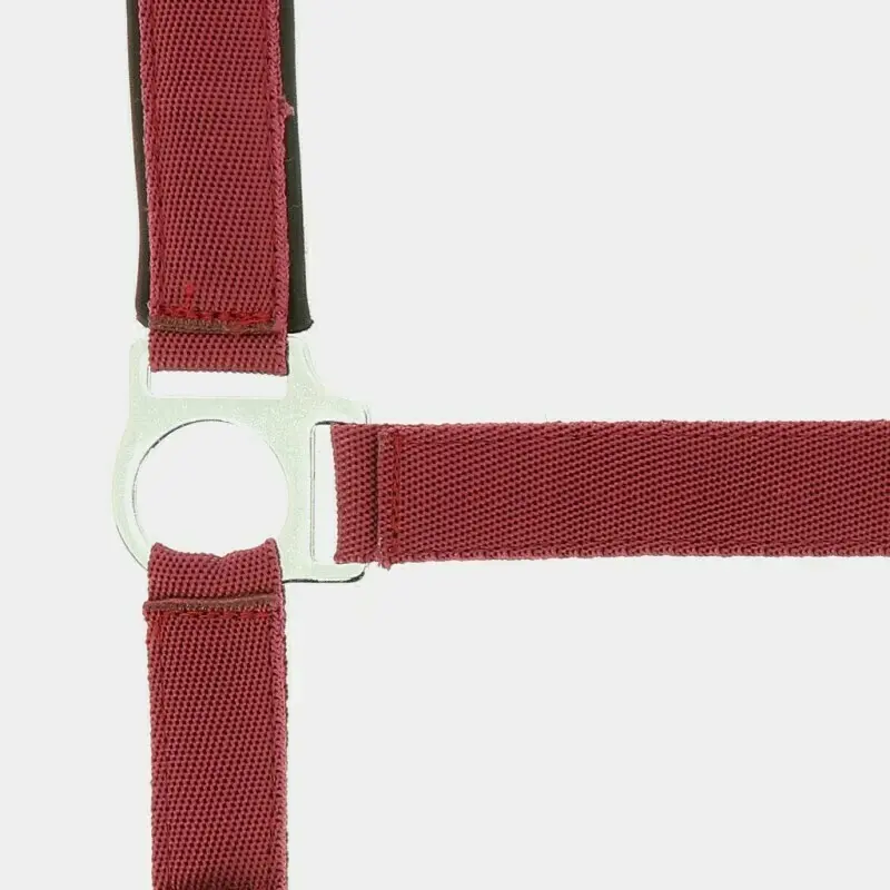 Norton Rouge Halter Doublé Néoprène