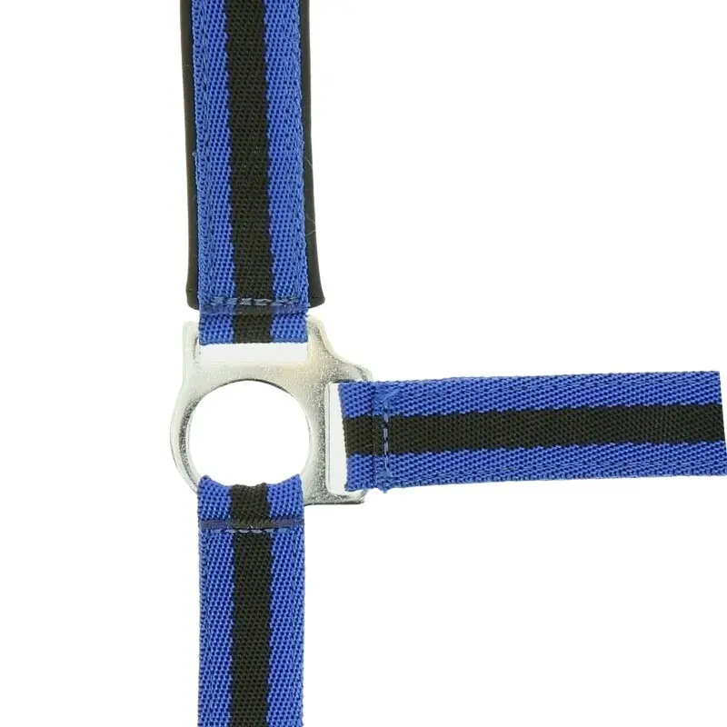 Halfter Norton Doublé néoprène