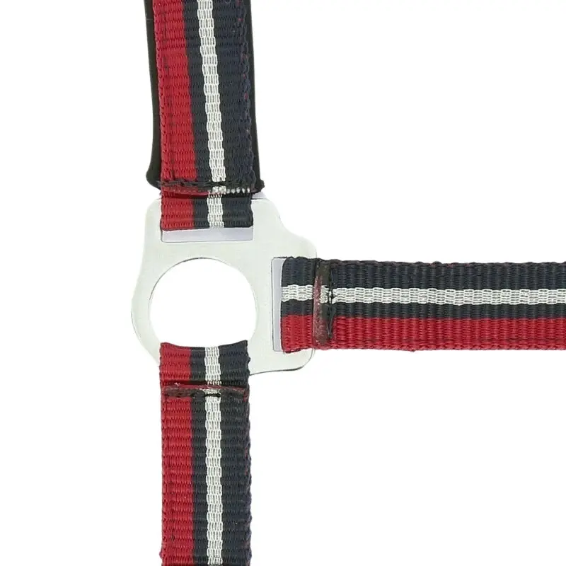 Norton Rouge Halter For Horse Brillant