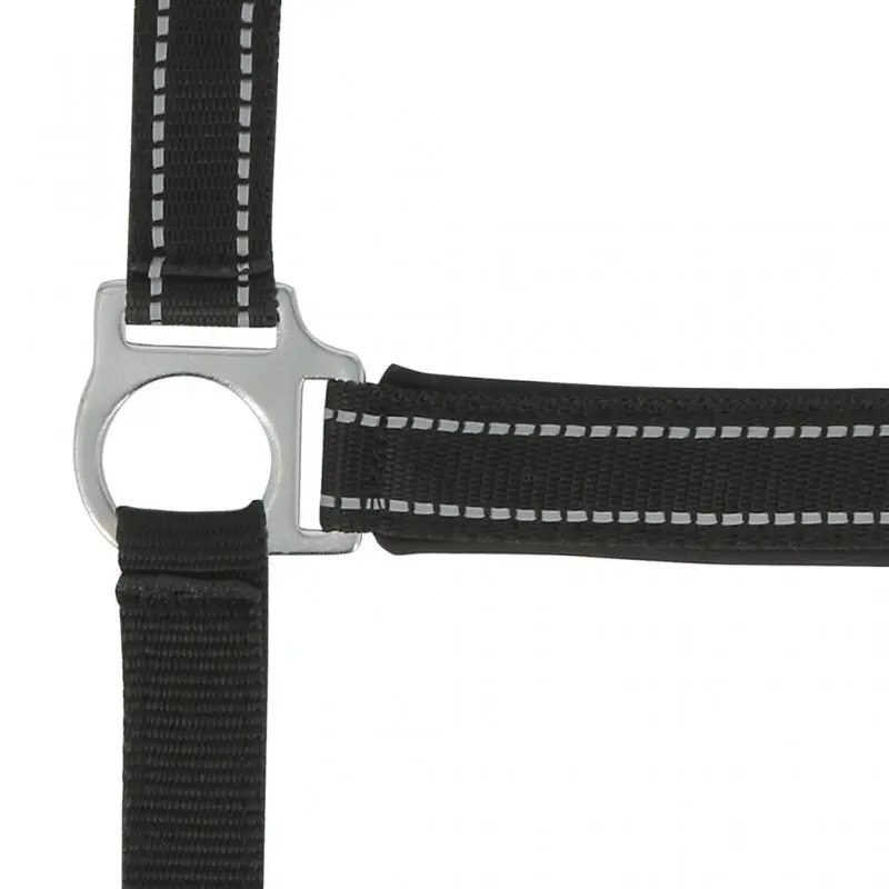 Norton Noir Halter For Horse Reflective