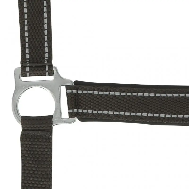 Norton Marron Halter For Horse Reflective