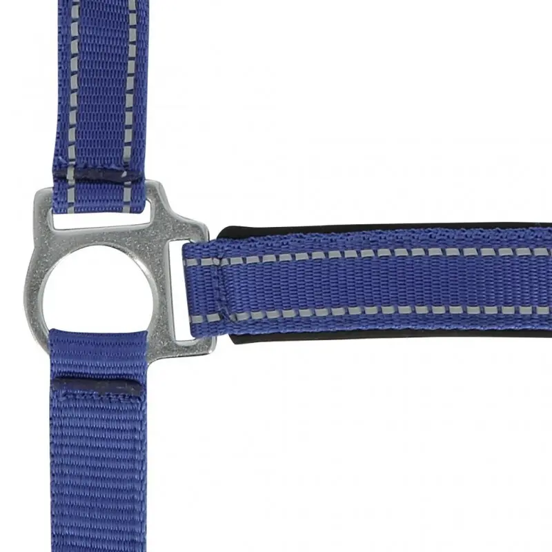 Norton Bleu Halter For Horse Reflective