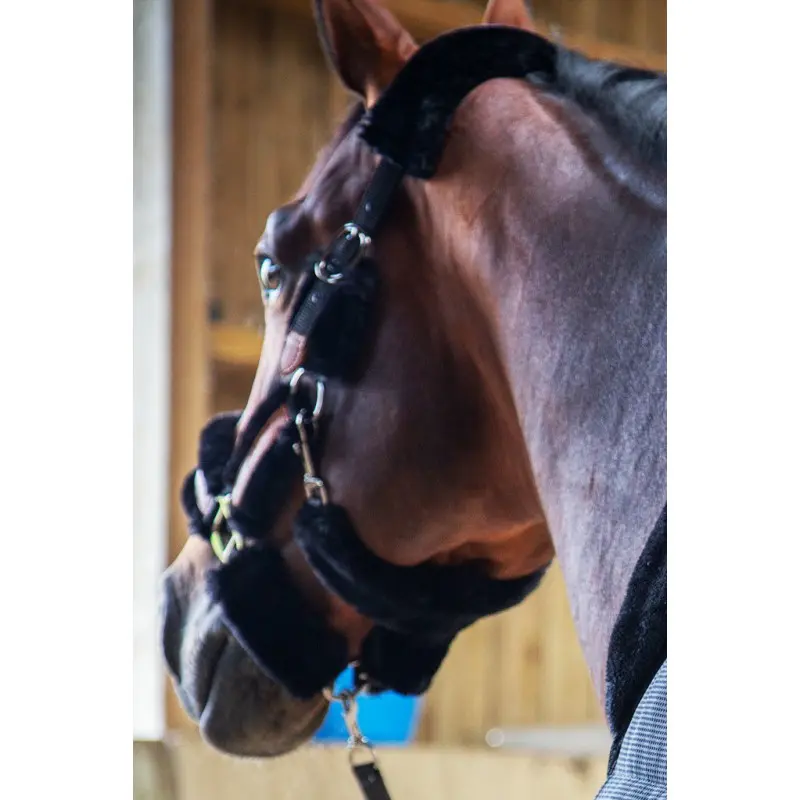 Pénélope Noir Halter For Thoroughbreds Soft
