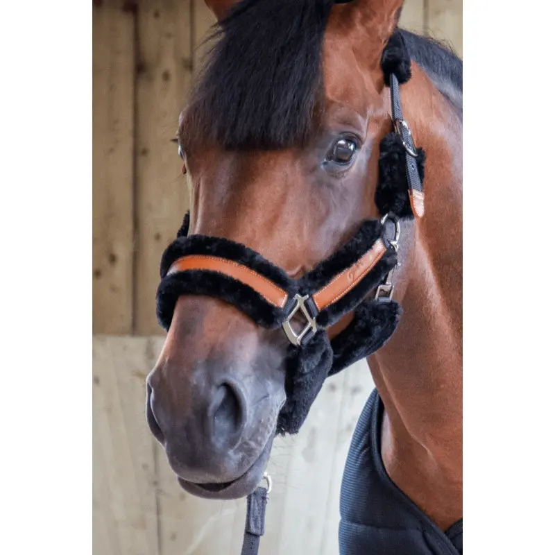 Pénélope Noir Halter For Thoroughbreds Soft