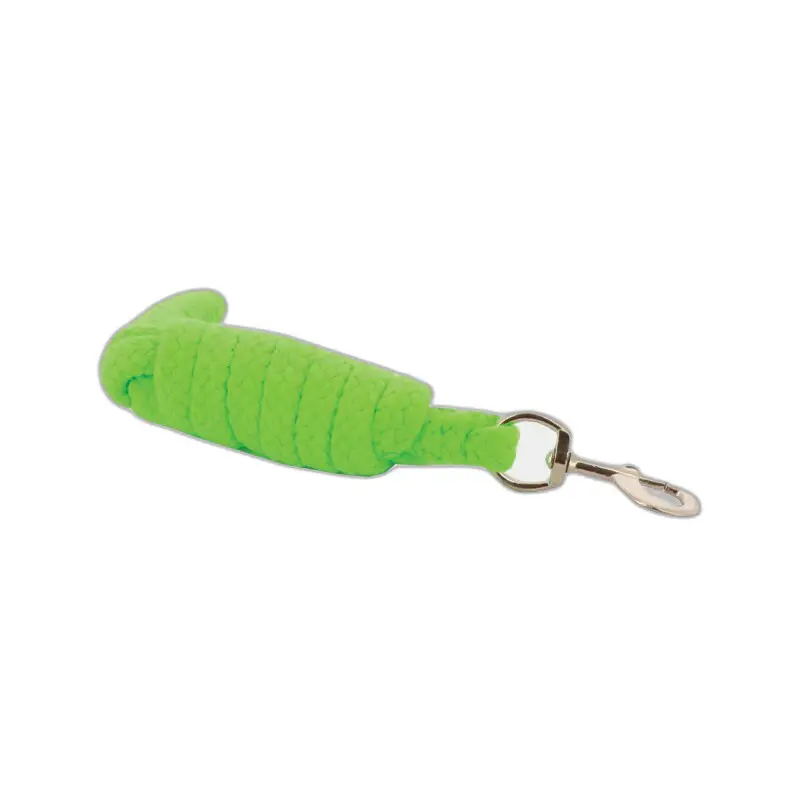 Norton Vert Lanyard For Horse Néon
