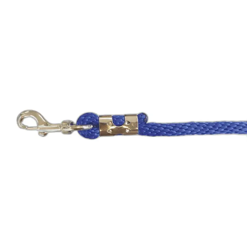 Longe pour cheval Norton Bright