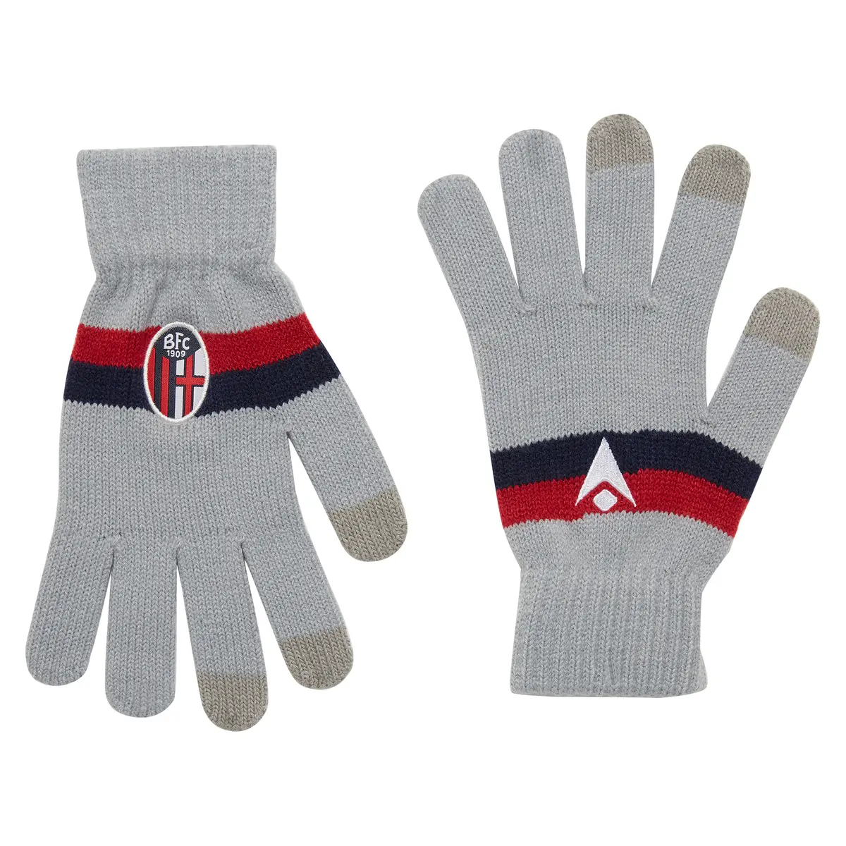 Handschuhe Bologne 2020/21 - Gris - male - Size: M
