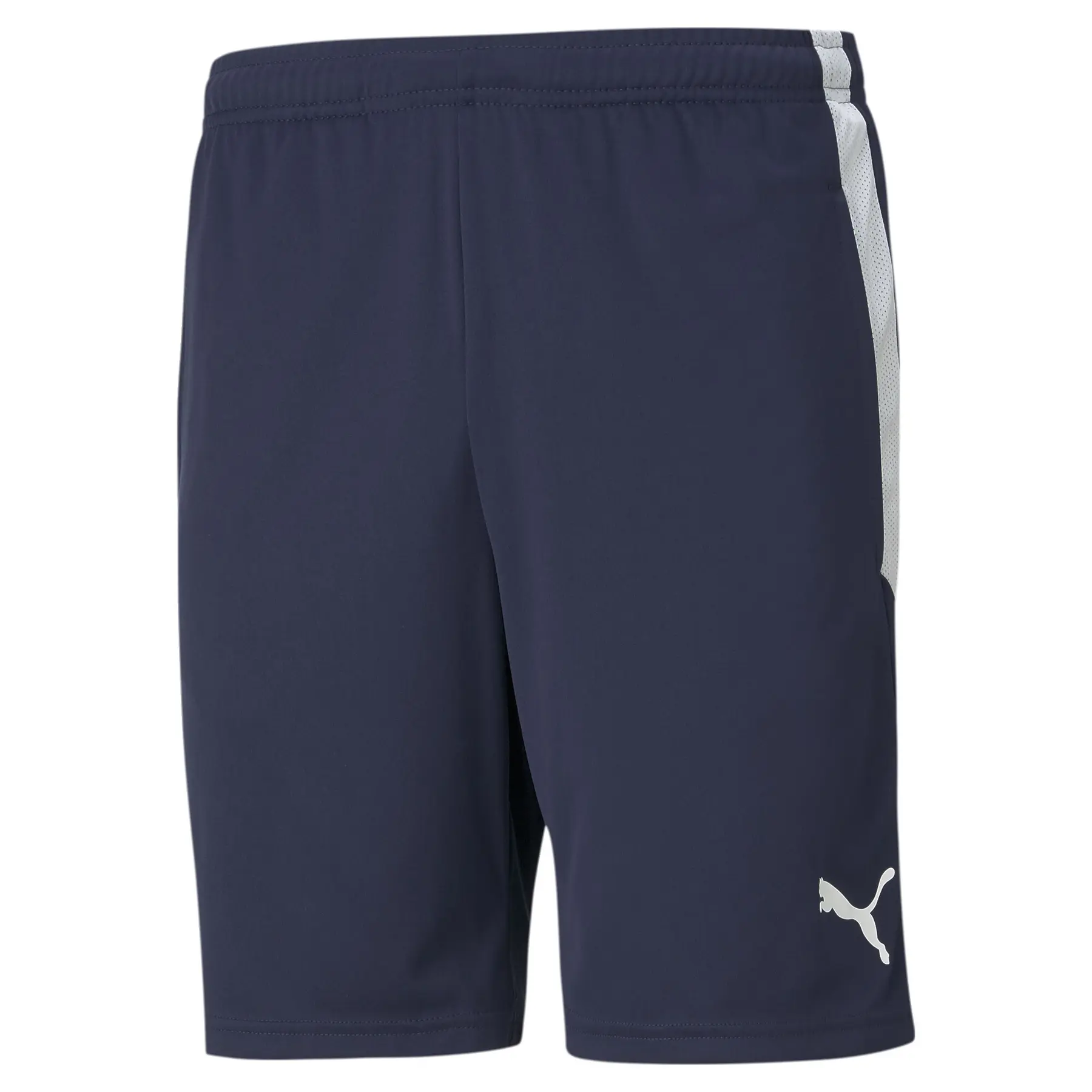 Shorts Puma Team Liga Training