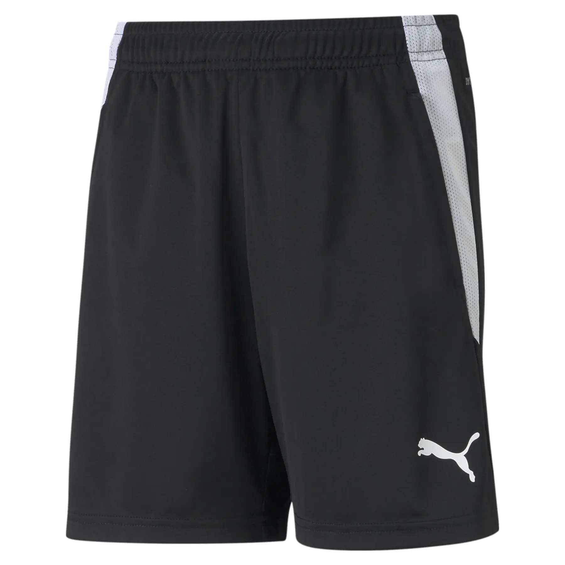 Kindershorts Puma Team Liga Training