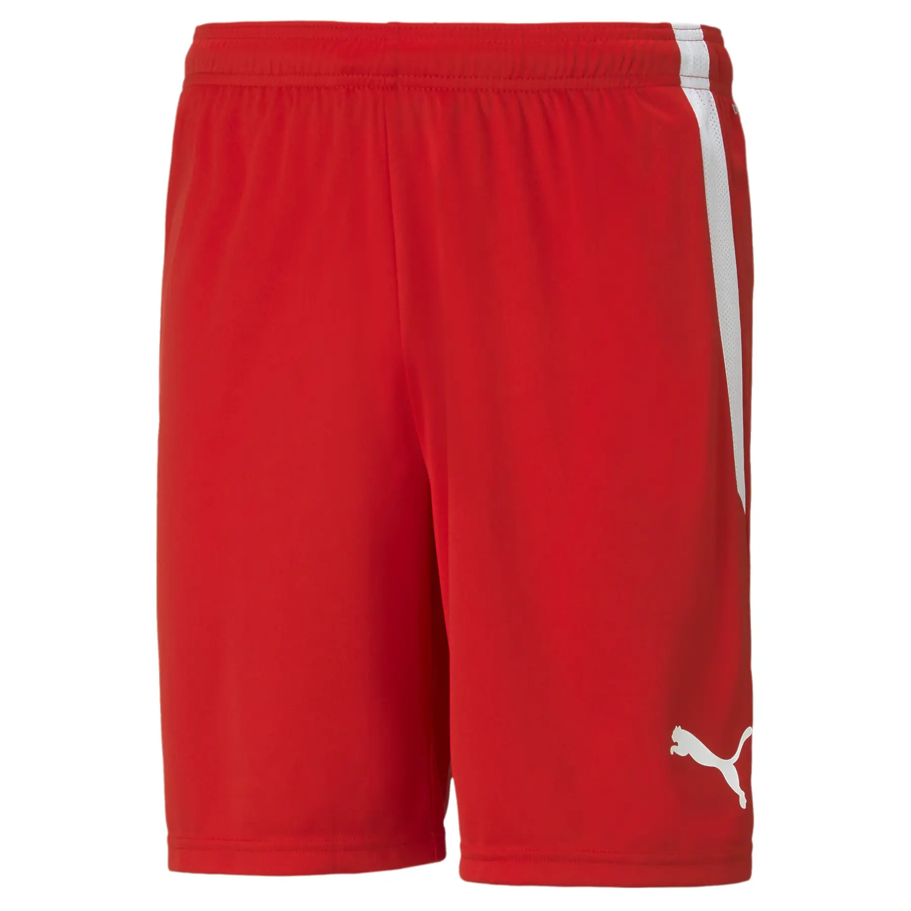 Puma Homme Short Team Liga, Rouge, Taille L