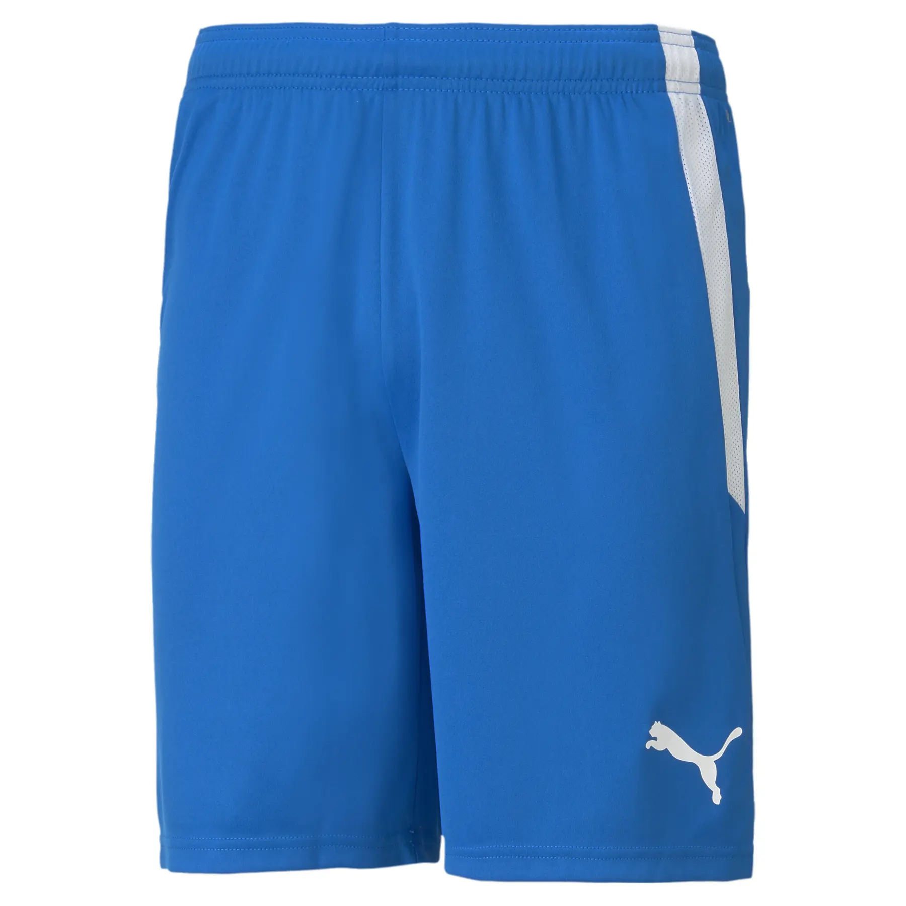 Puma Homme Short Team Liga, Bleu, Taille M