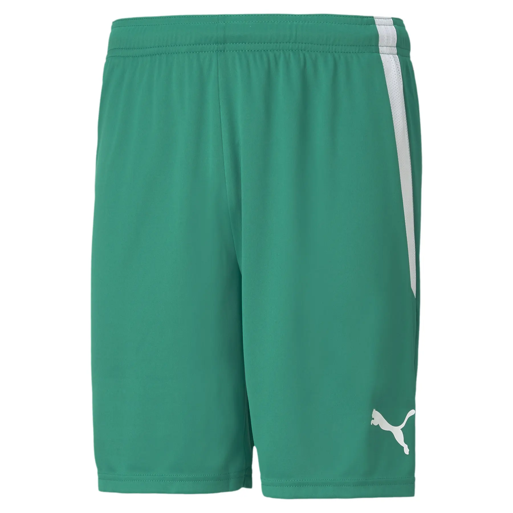 Puma Homme Short Team Liga, Vert, Taille L