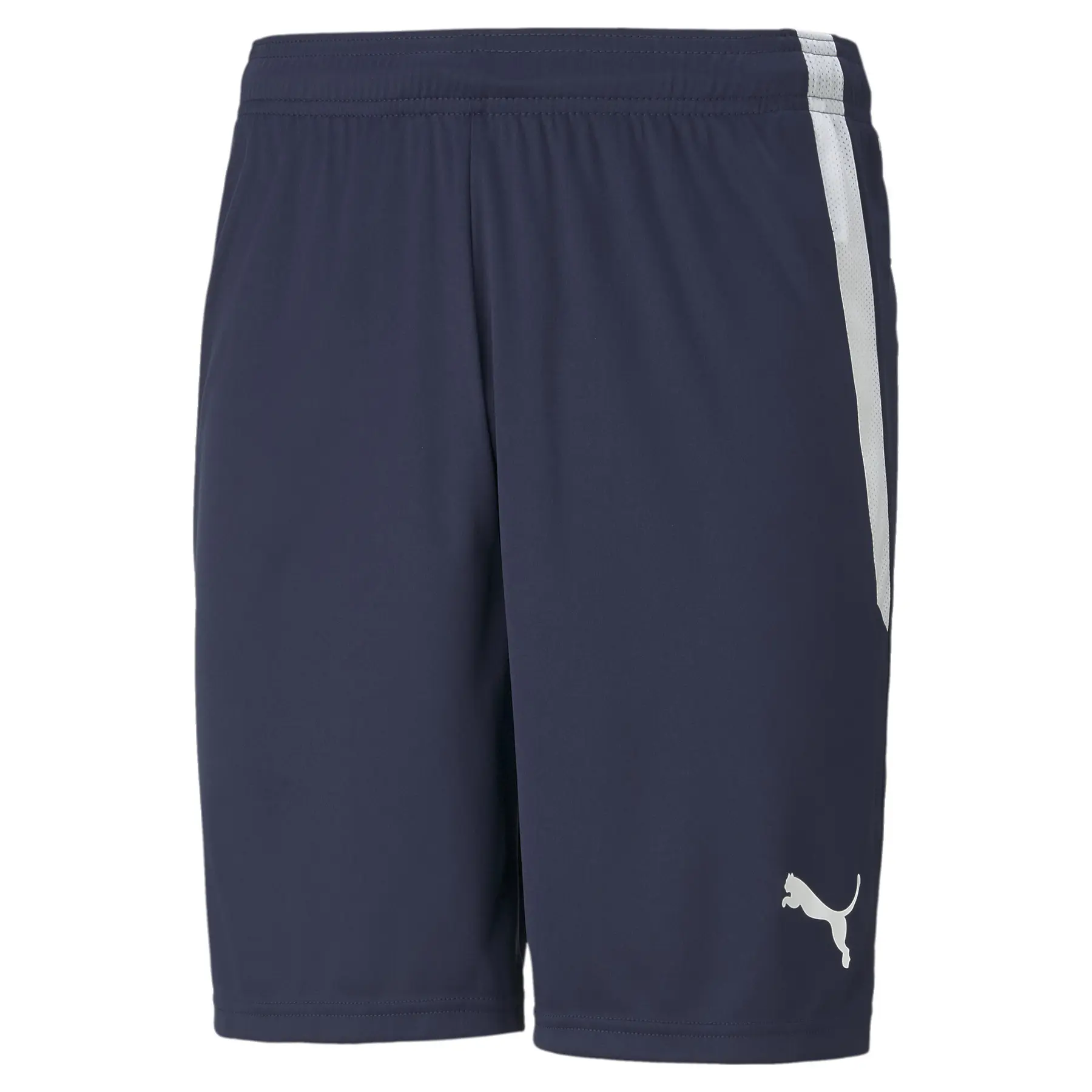 Puma Homme Short Team Liga, Bleu, Taille L