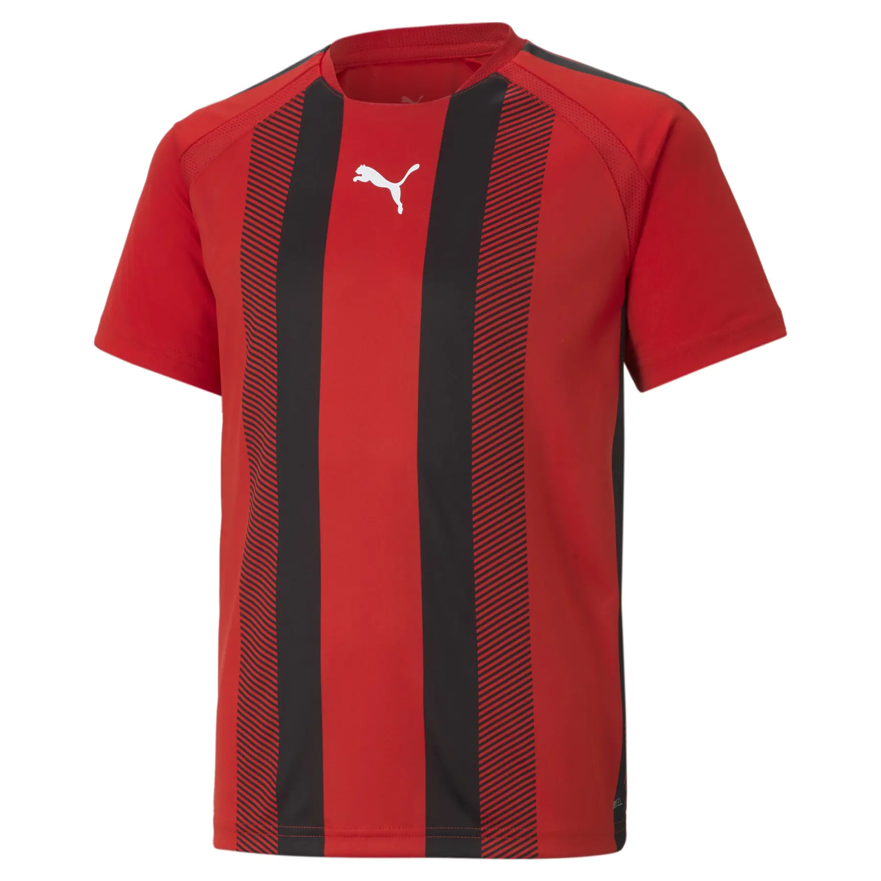 Kindertrikot Puma Team Liga Striped