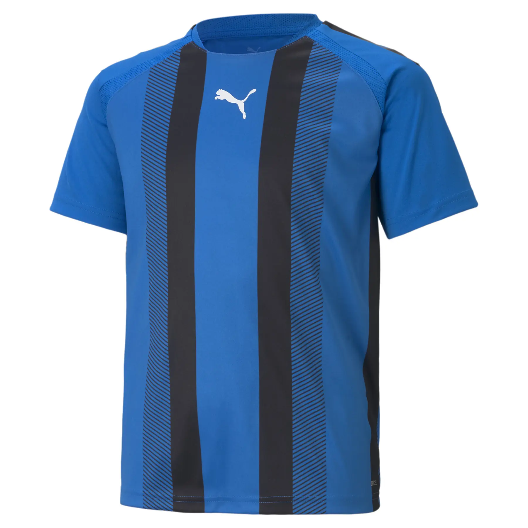 Kindertrikot Puma Team Liga Striped