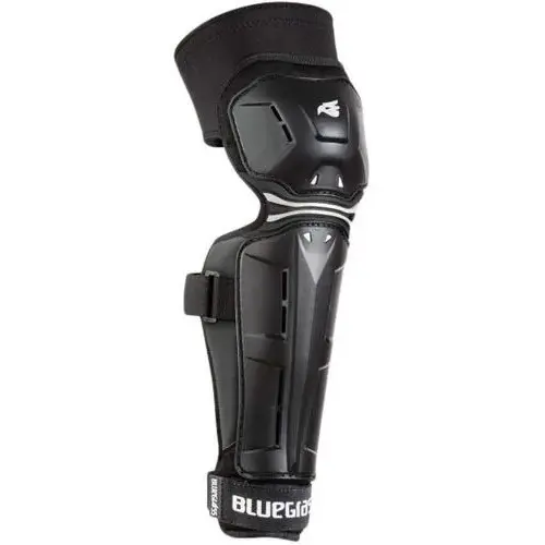 Parastinchi Bluegrass Big Horn P03