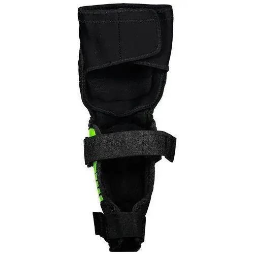 Parastinchi Bluegrass Big Horn P03