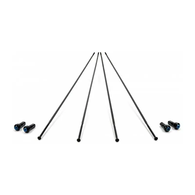 Velo Store - UK Disc wheel spokes front left/rear right Campagnolo Bora One 50 (x4) | Extra 10% off with Subscription, Postage £16.79 to UK Fedex.