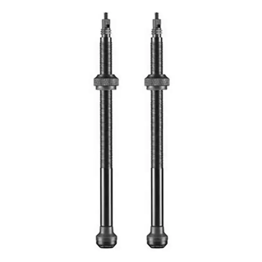 Velo Store - UK Valve set Schwalbe Tubeless 100 mm (x2) | Extra 10% off with Subscription, Postage £16.79 to UK Fedex.