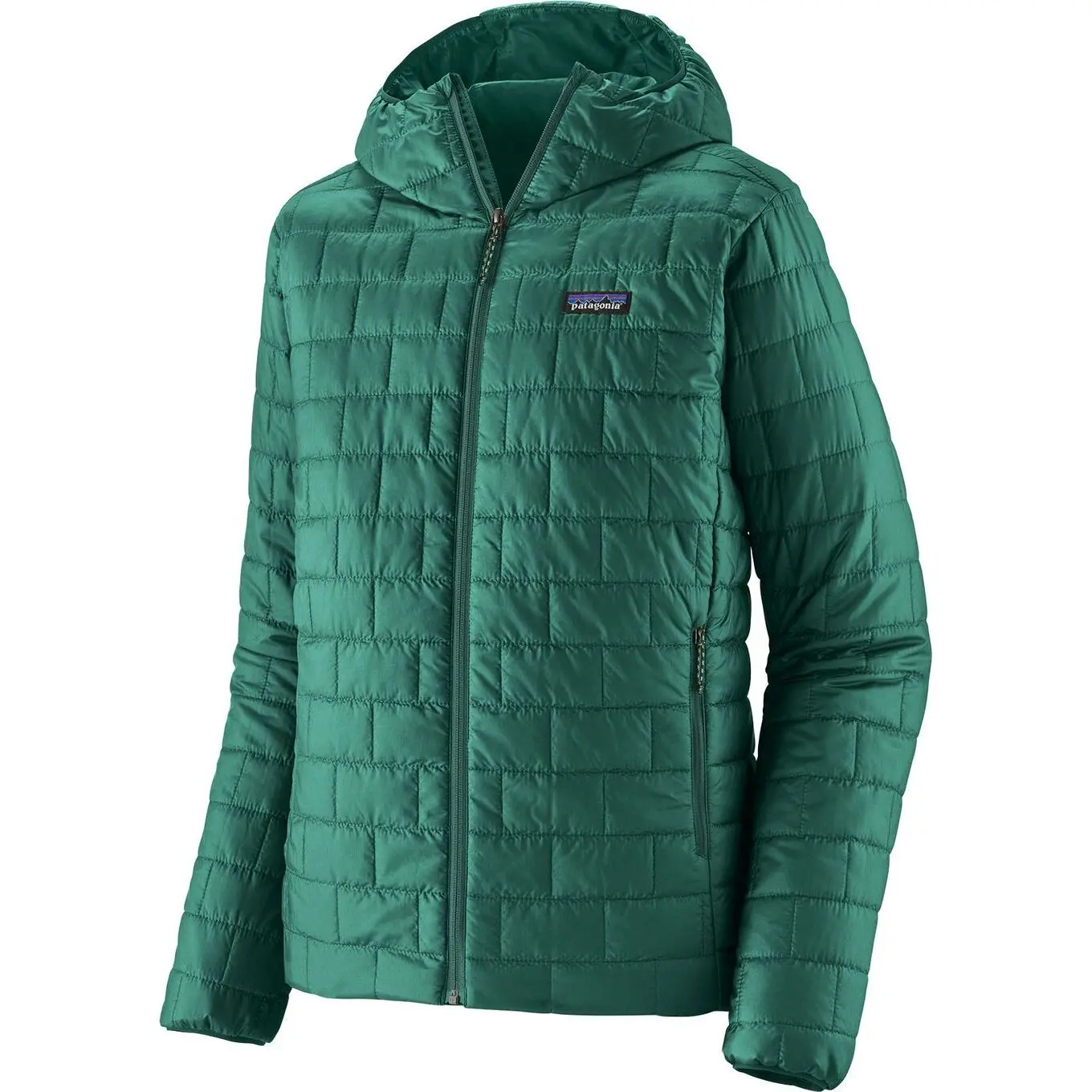 Daunenjacke  mit Kapuze Patagonia Nano Puff