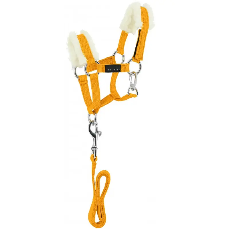 Jouet équitation mini licol plus longe Equithème Pony Academy